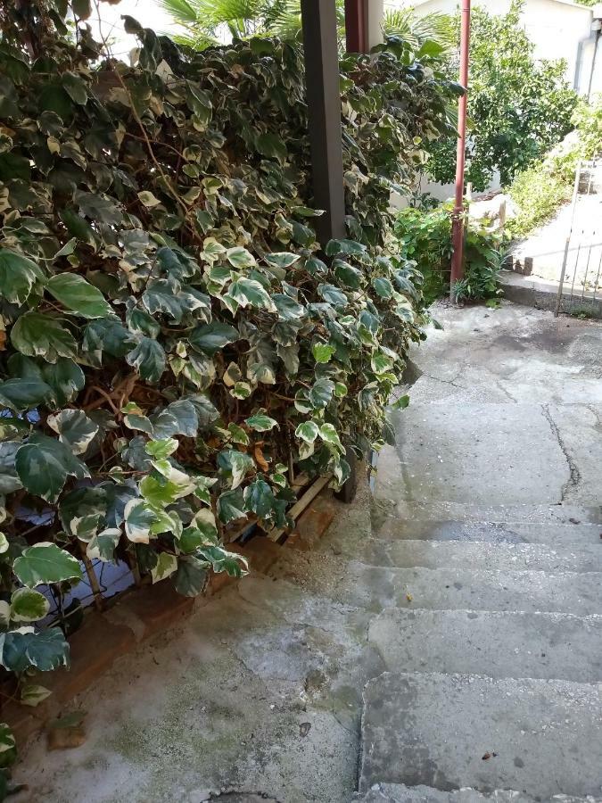 Rooms Jancic Ulcinj Zewnętrze zdjęcie